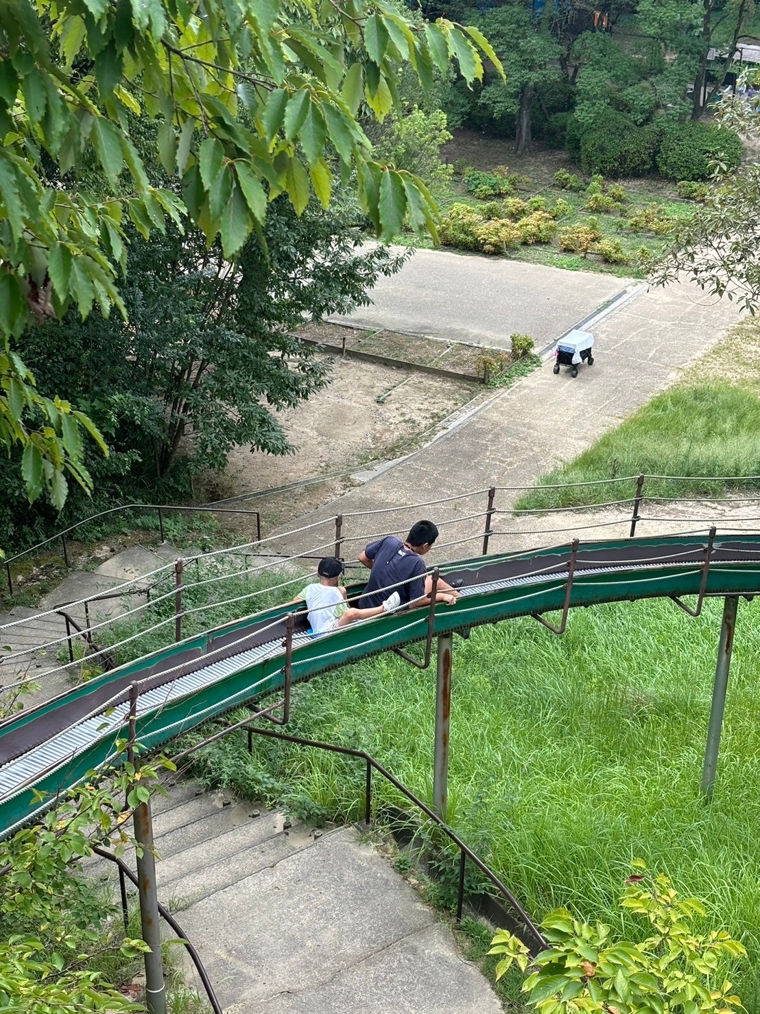 大阪市浪速区の放課後等デイサービスオハナピース、千里中央公園へおでかけ